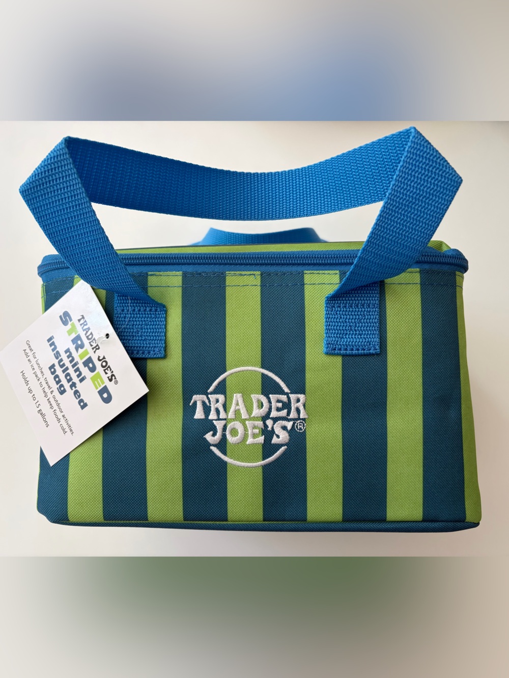 Trader Joe's Hot Blue-and-Green Striped Mini Insulated Tote SummerCollection